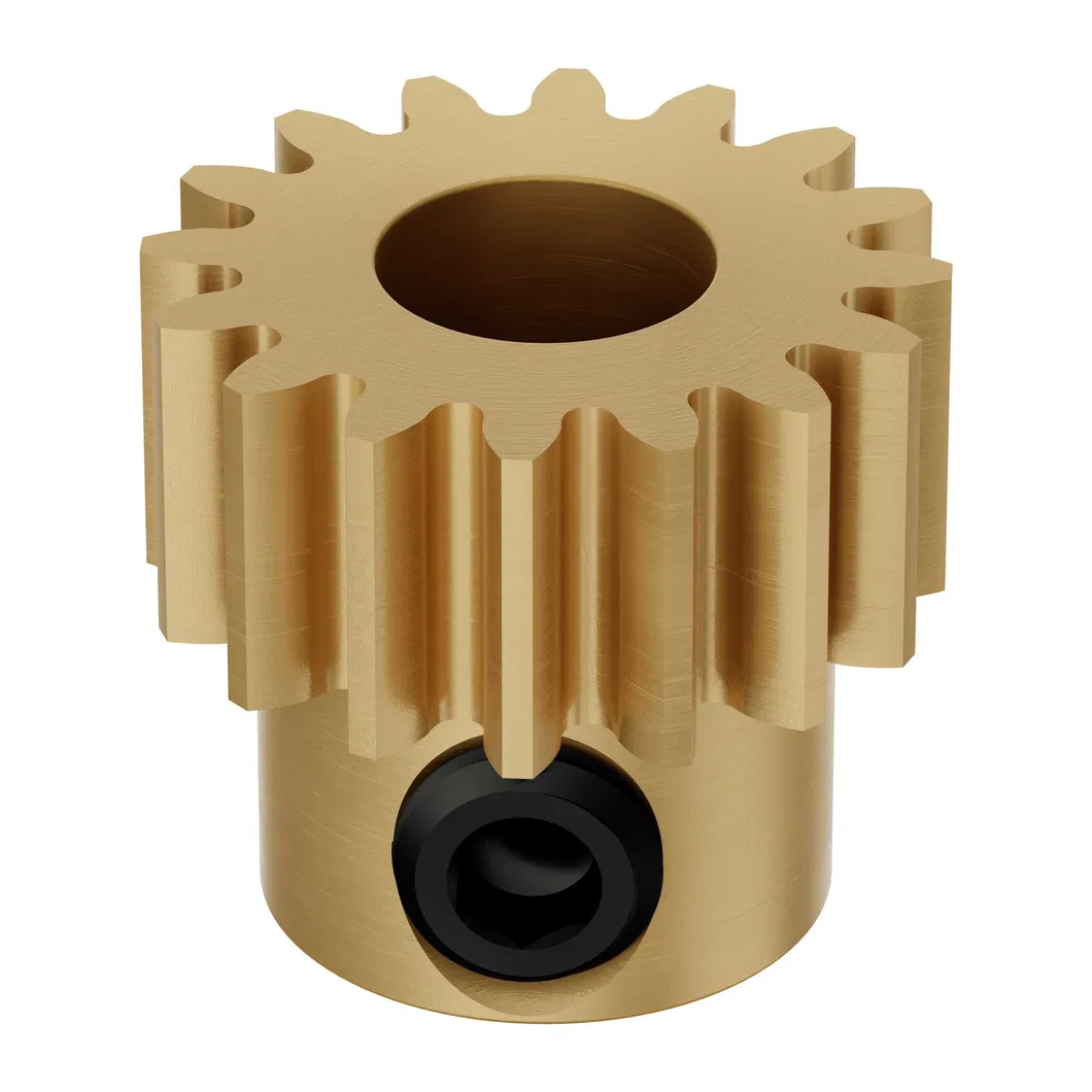 Spur Gear 6