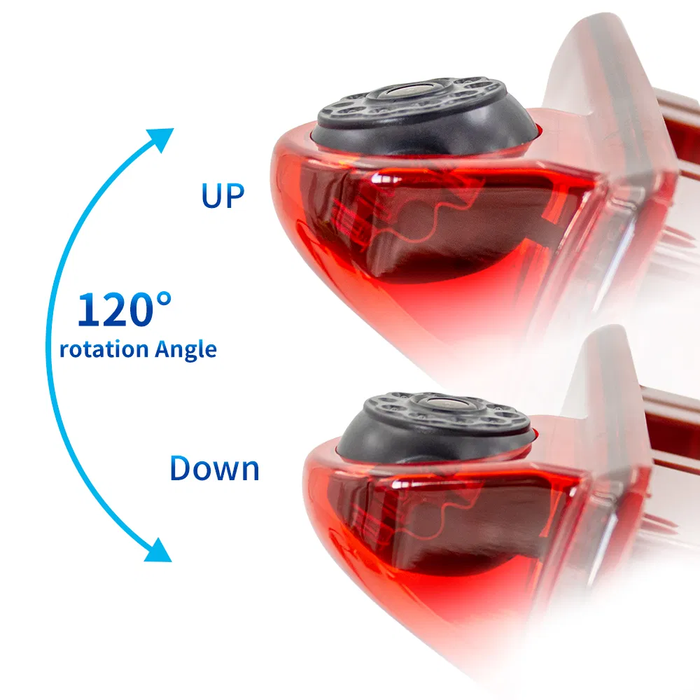 Reverse Camera Feature 3