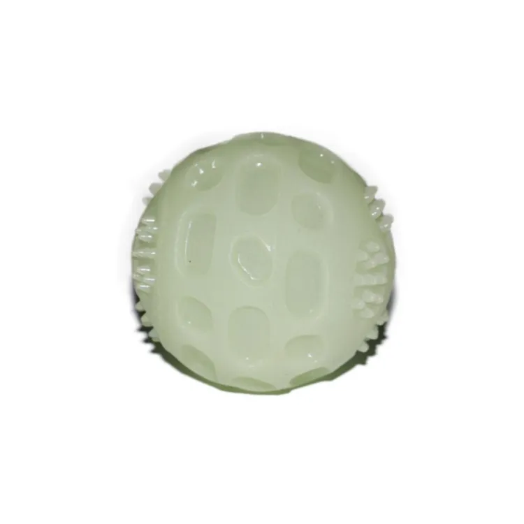 Glow in Dark Pet Toy