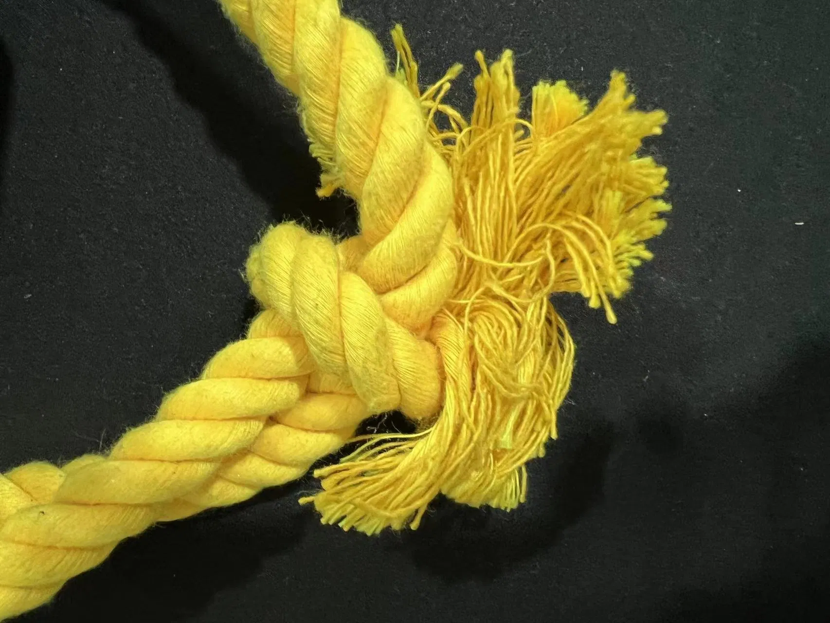 Company Pet Doll Toy Dog Doll Toy Pet Products Pet Accessories