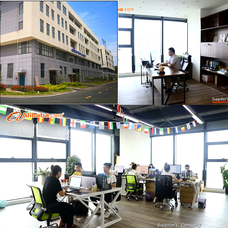 Our Business