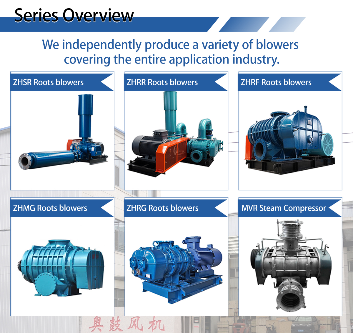 Roots Blower Main