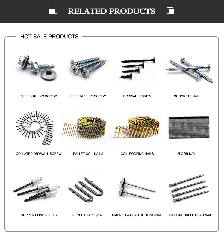 Related Fasteners