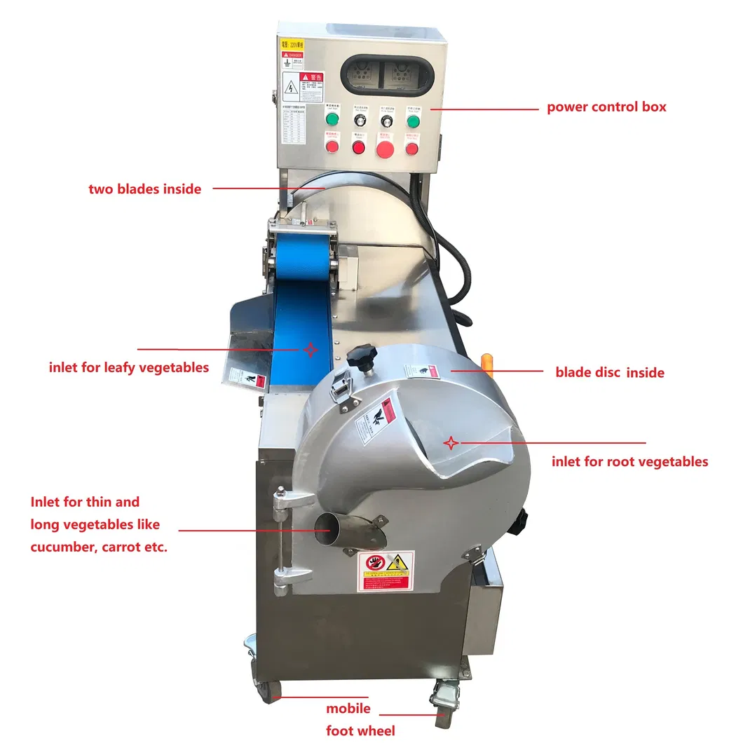 Multi-Function Vegetable Cutter