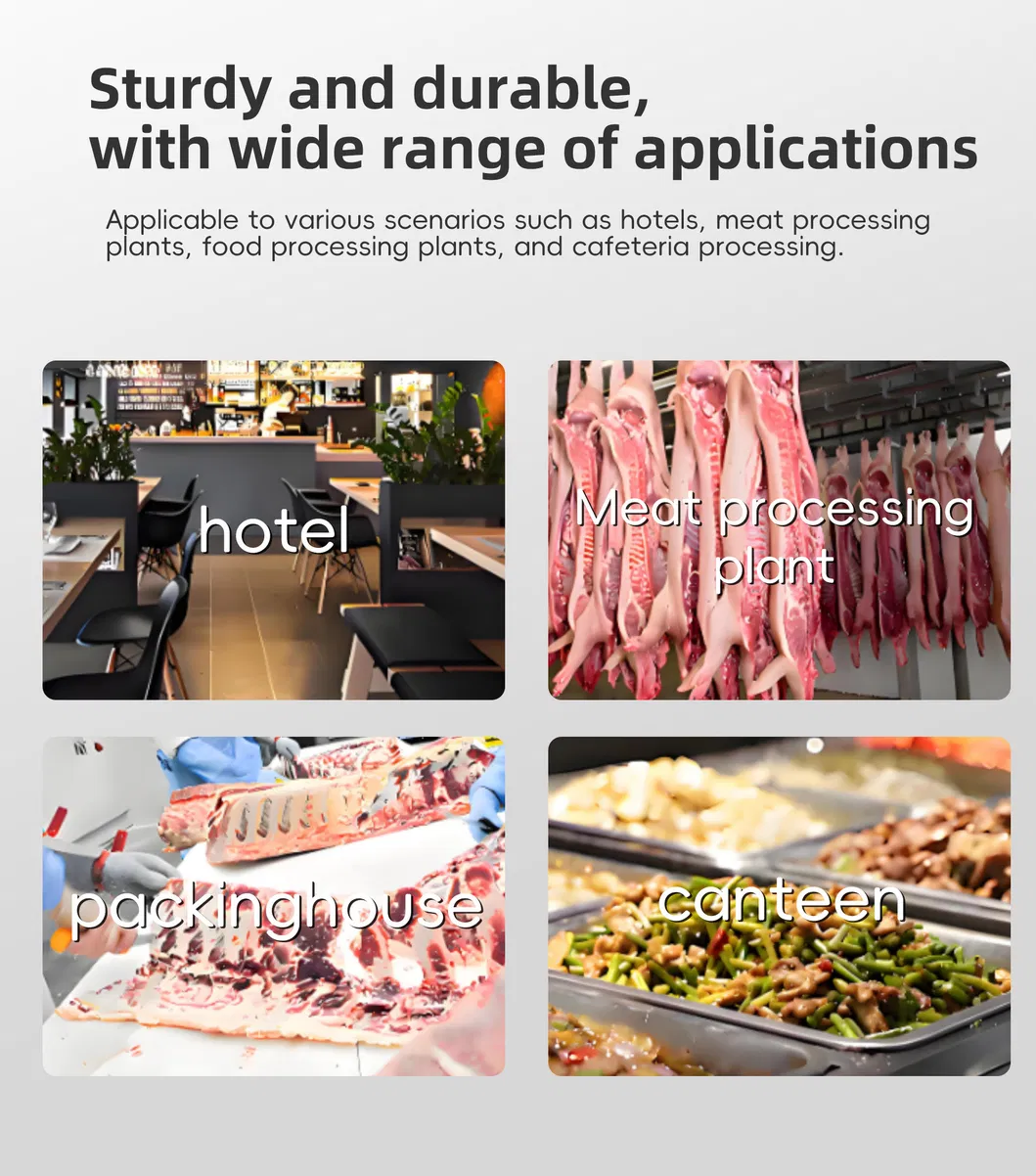 Meat Slicing Machine 6