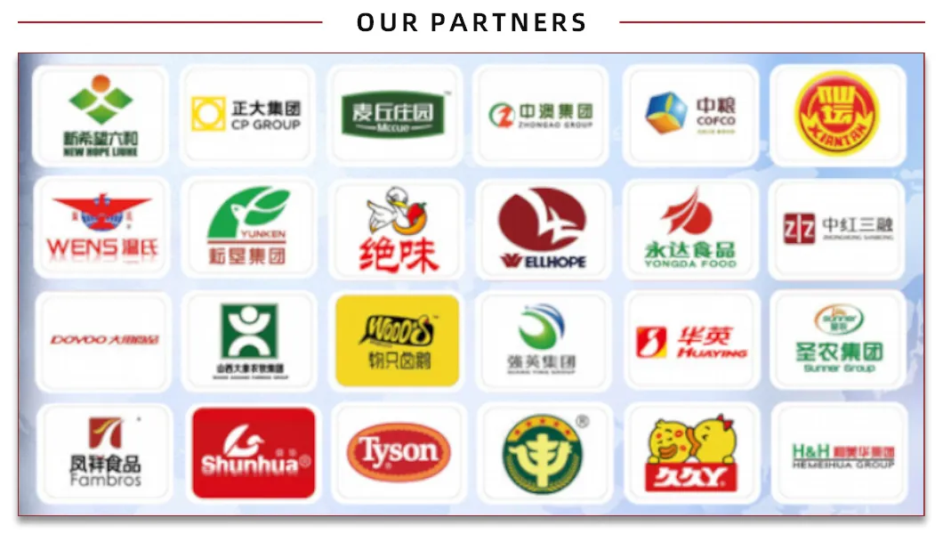 Partner Logos
