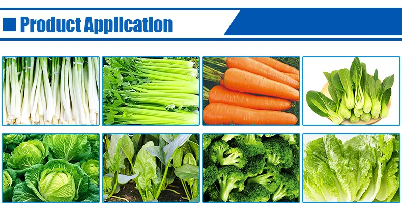 Fruit and Vegetable Cutter