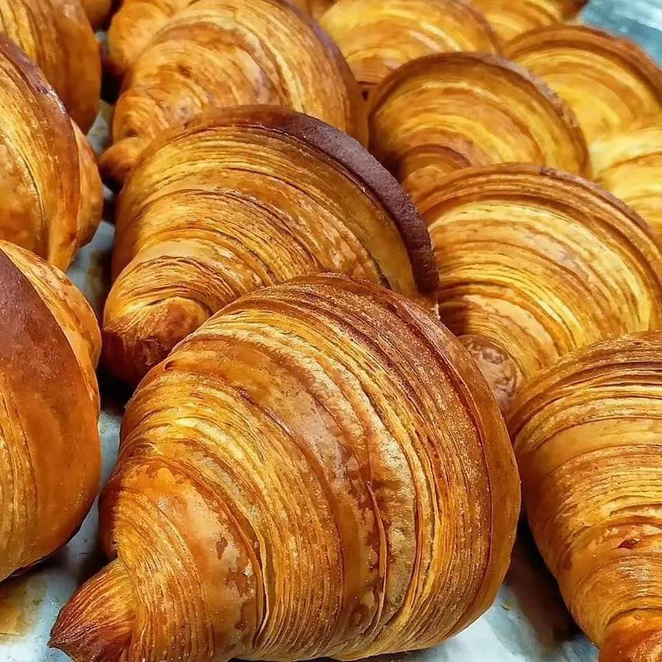 Pastry Sheeter Close-up