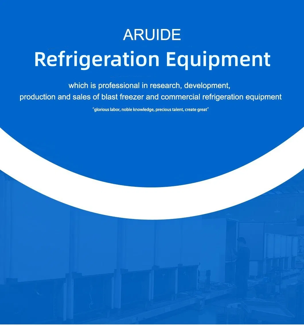 Pizza Counter Bench Chiller