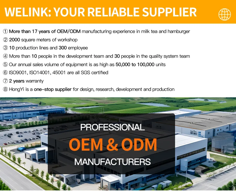 Commercial 10L Deep Fryer Detail 1