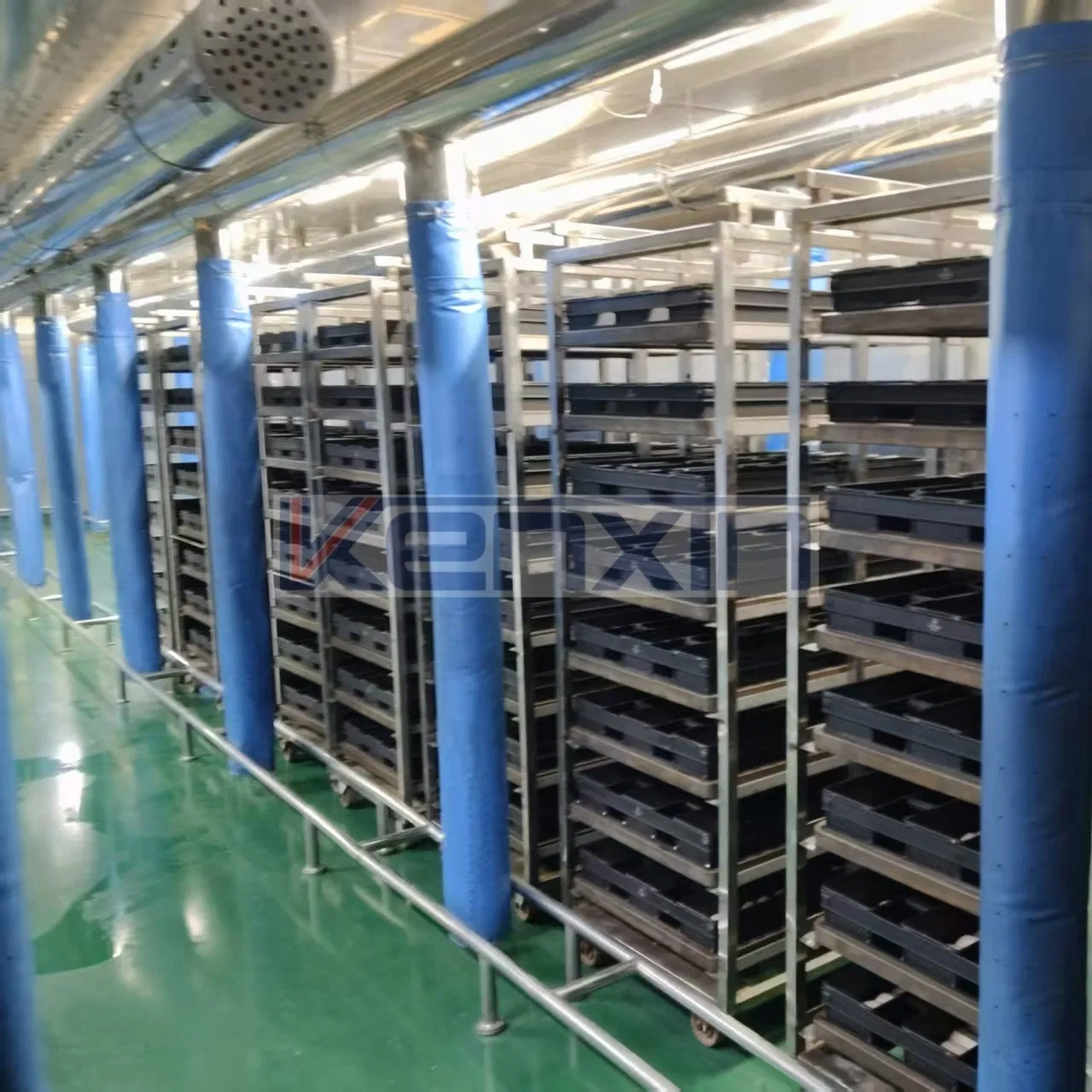 Continuous Dough Proofer Proofing Cabinet with 100mm Insulation and Swing Functionality