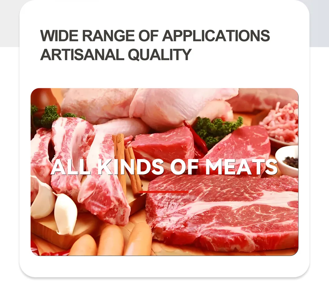 Meat Slicing Machine 2