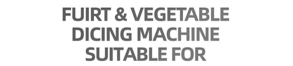 Industrial Dicer Machine