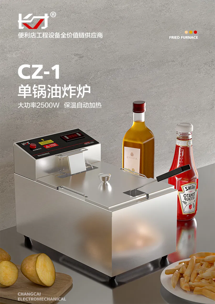 Electric Fryer View 1