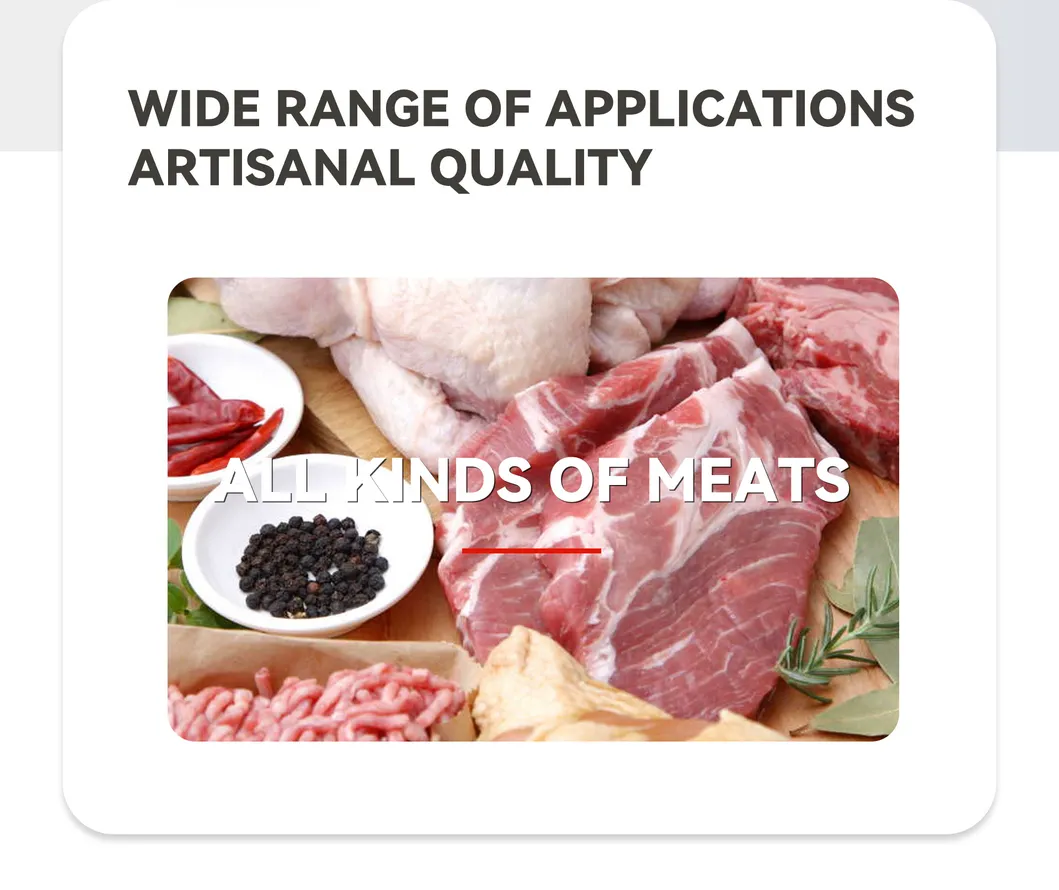 Meat Slicer Detail 2