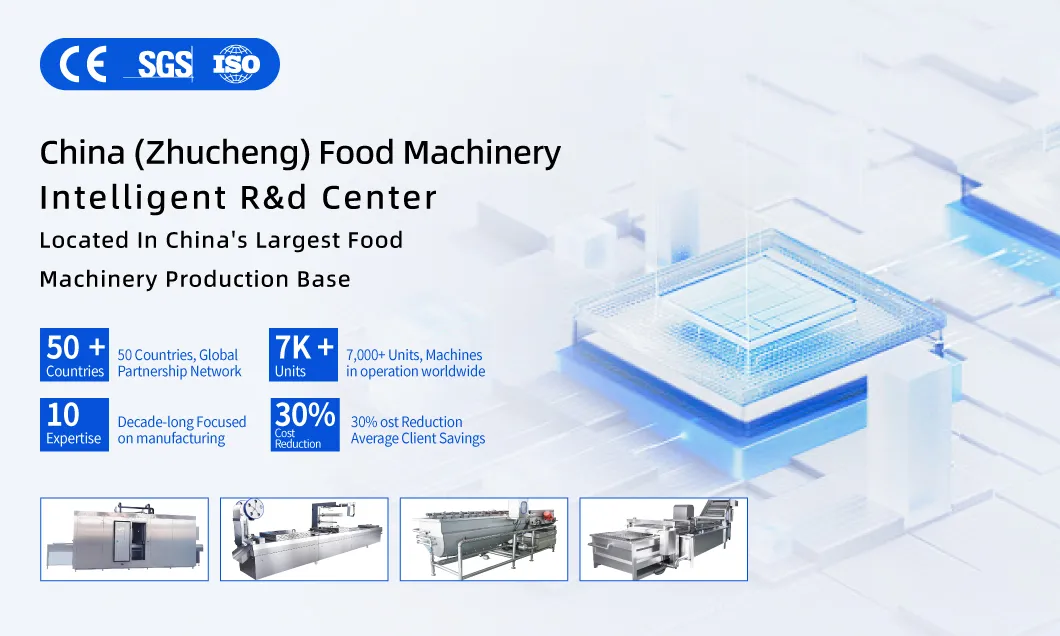 Continuous Frying Machine