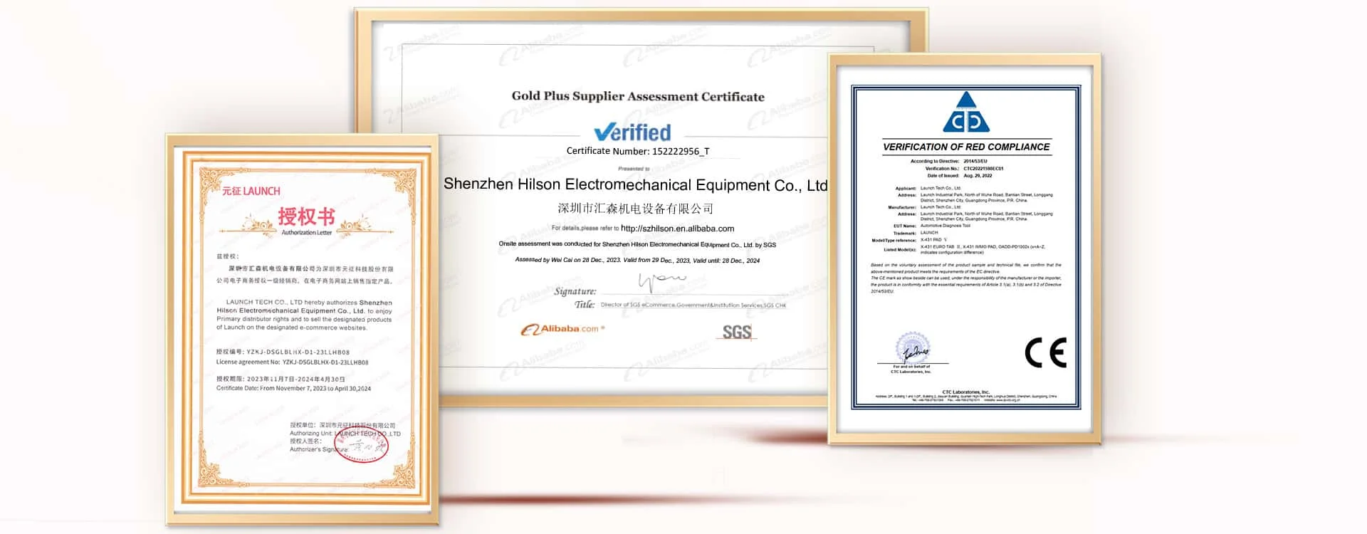 Official Certificate 1
