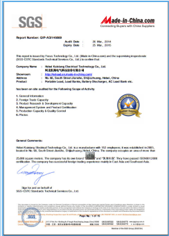 Industry standard certification certificate 4