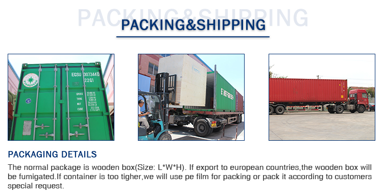 Packaging Case 1