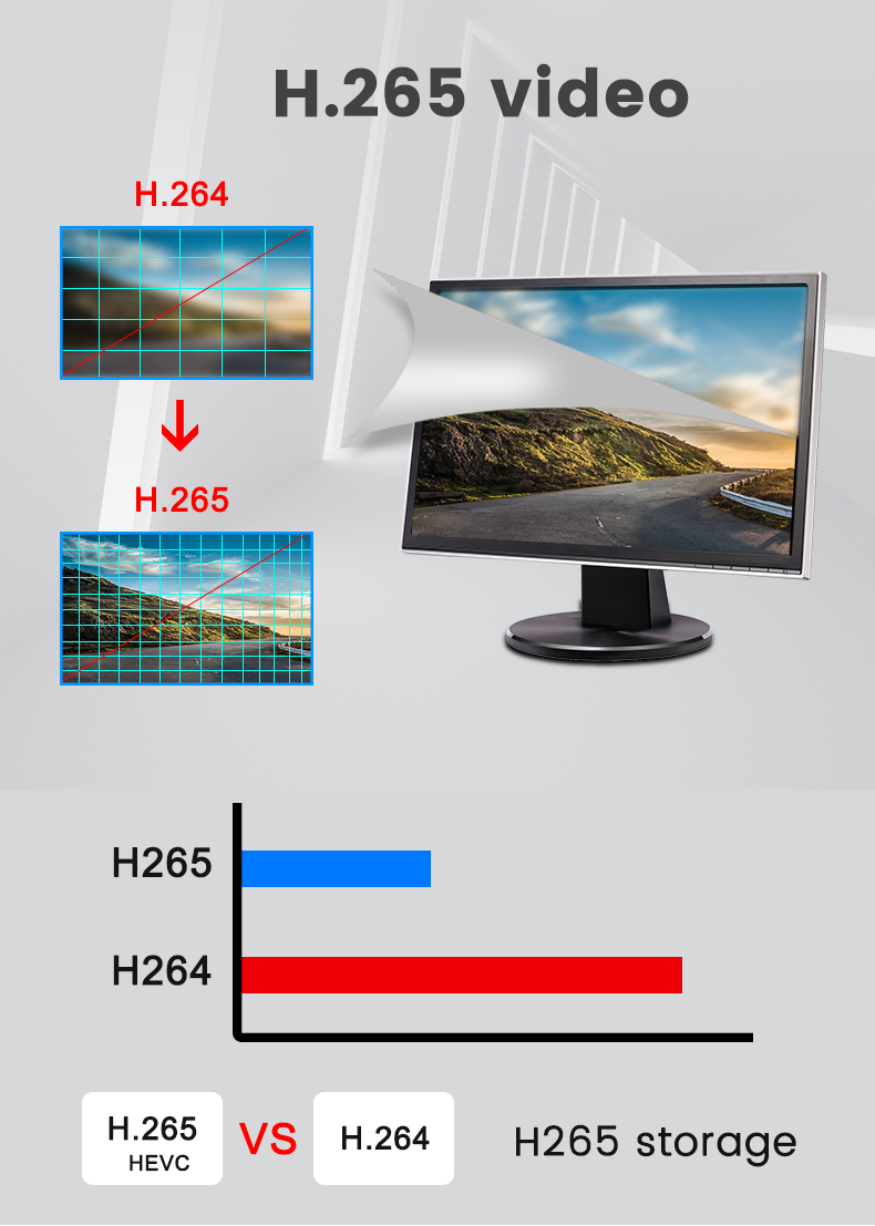 H.265 compression format