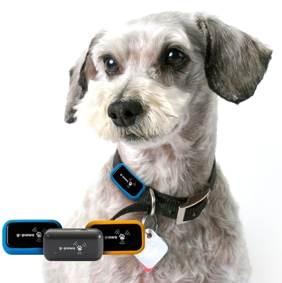 Mini High Accuracy GPS Data Logger for Car Tracker with 10-12 Hours Battery Life Lightweight 10g Google Earth Compatible