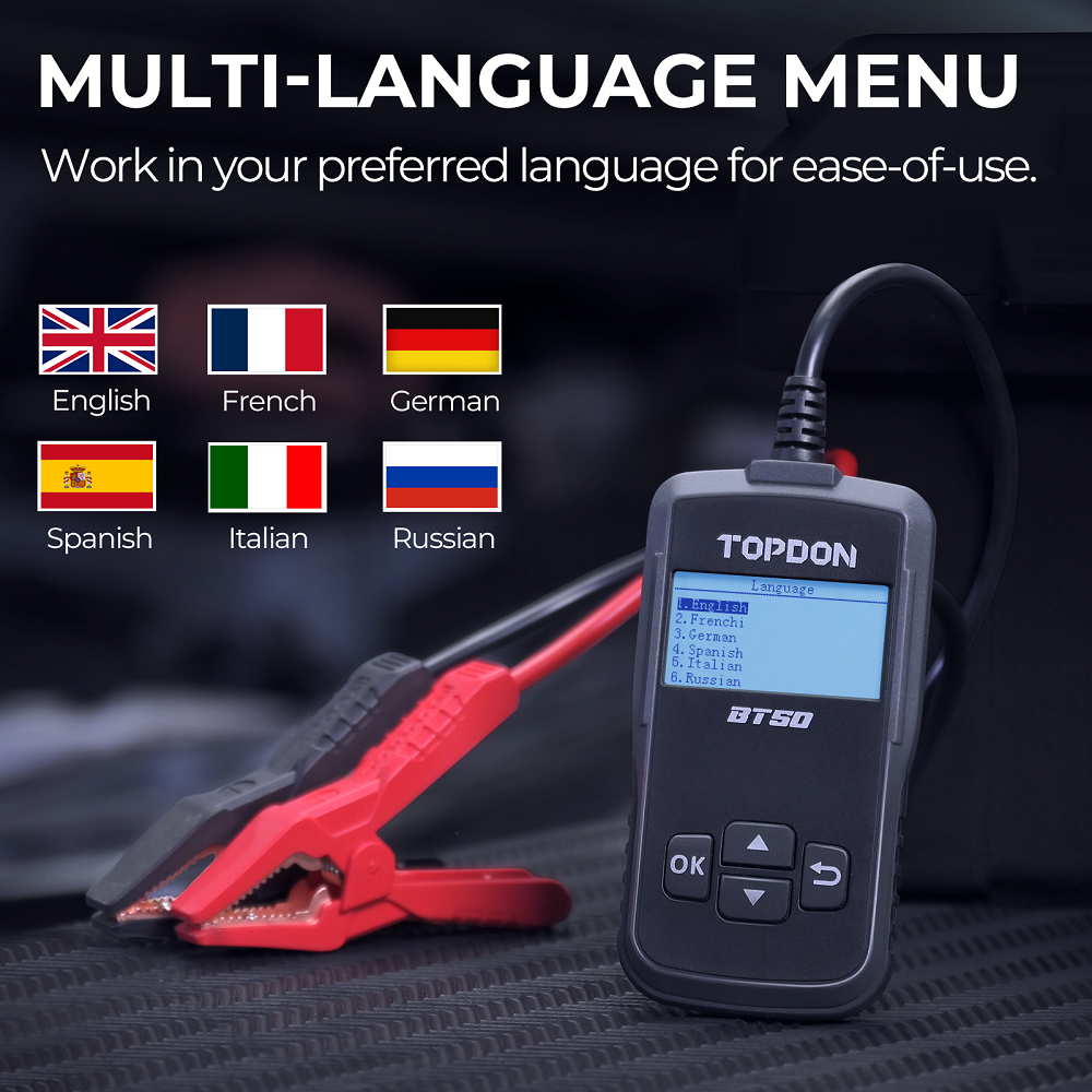 Multi-Language Options