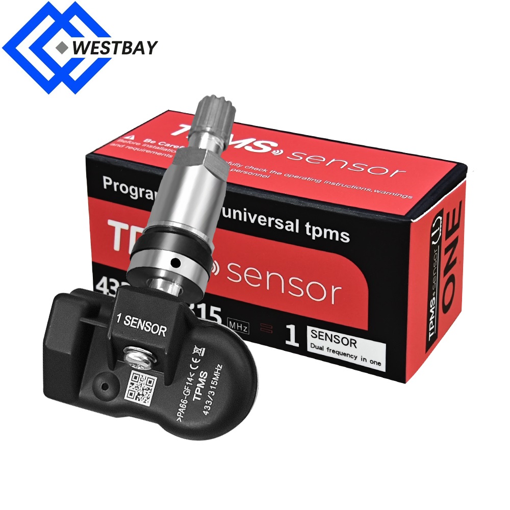 TPMS Diagnose