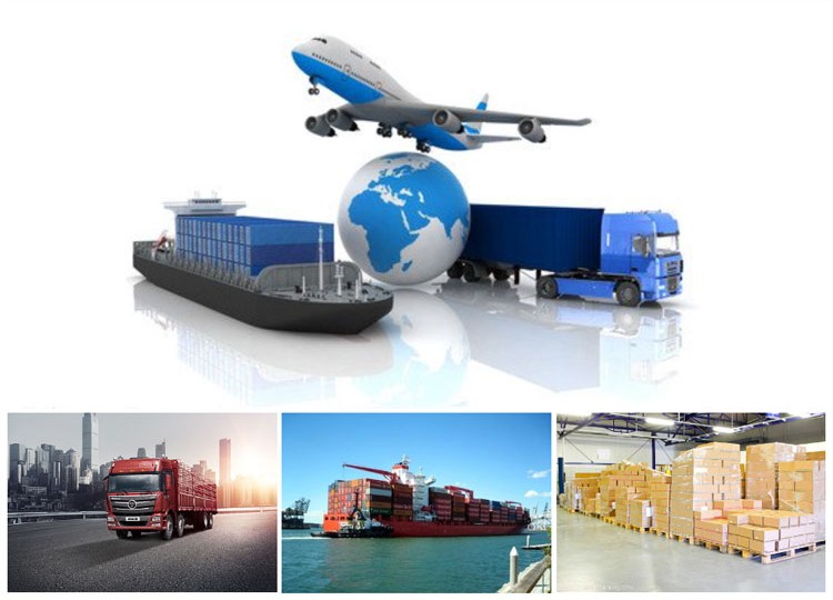 Shipping Logistics Options