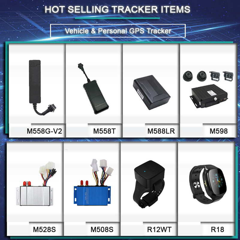Alternative Models Overview