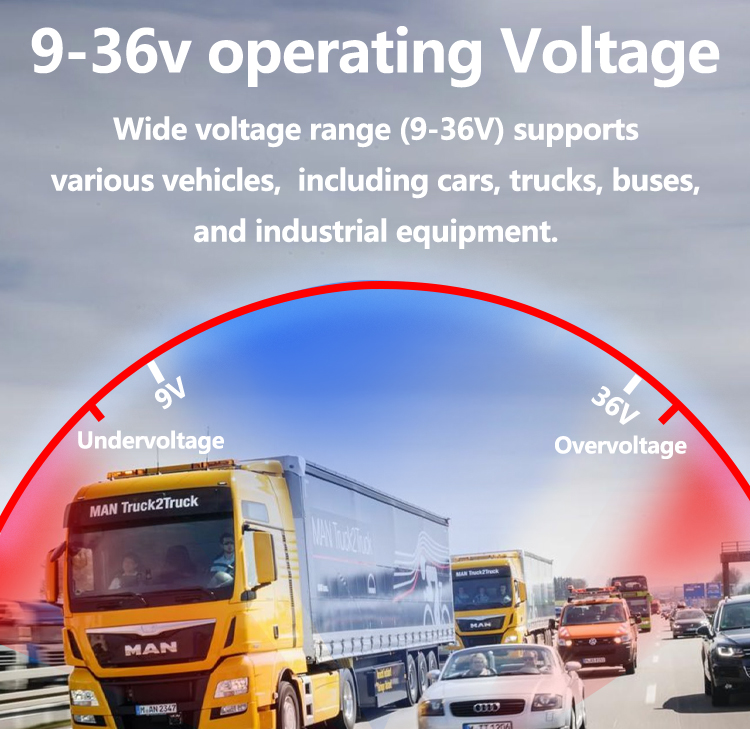 Vehicle Speed Limiter 6