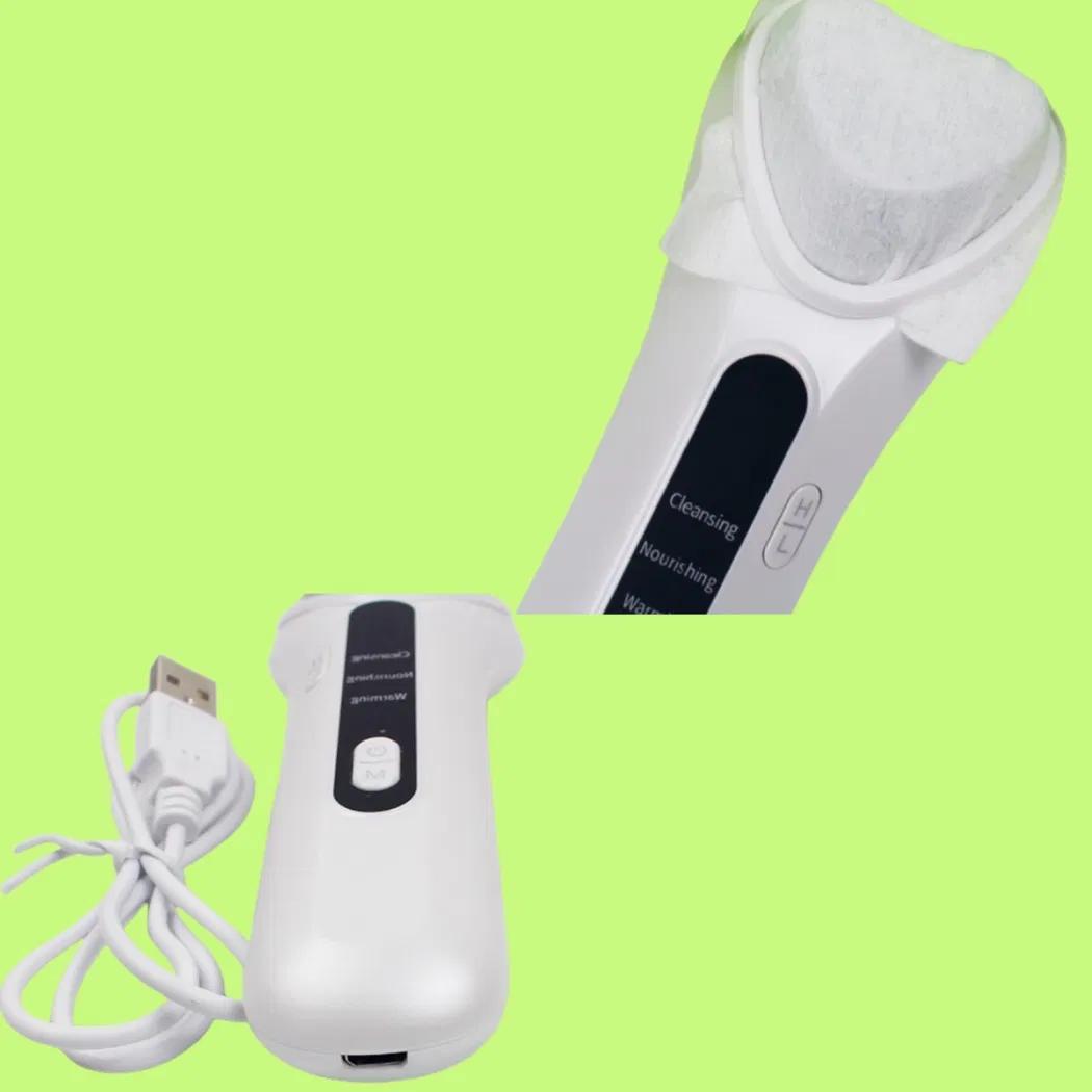 Multifunction Home Use Anti Aging Device Facials Skincare Facial Beauty Device