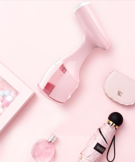 220V Handheld Portable Mini Facial Brush Garment Steamer