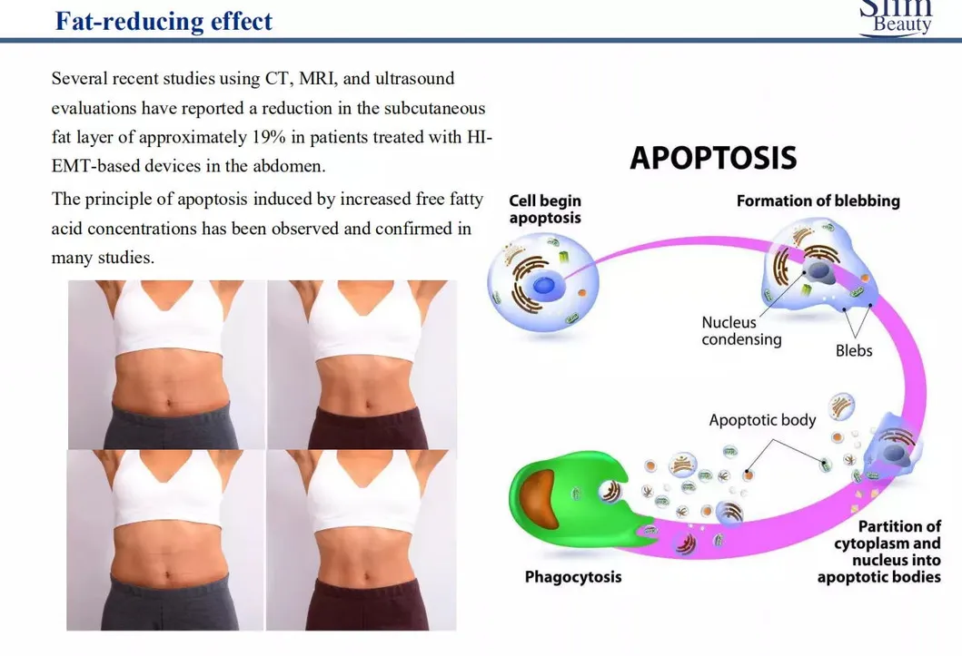 Training Modes Interface