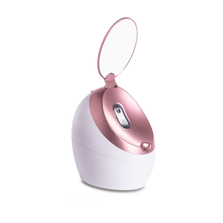 Good Price Professional Electric Portable Warm Mist Face Steaming Ionic Nano Facial Steamer with Mirror