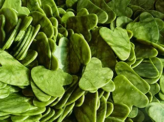 100% Natural Jade Stone