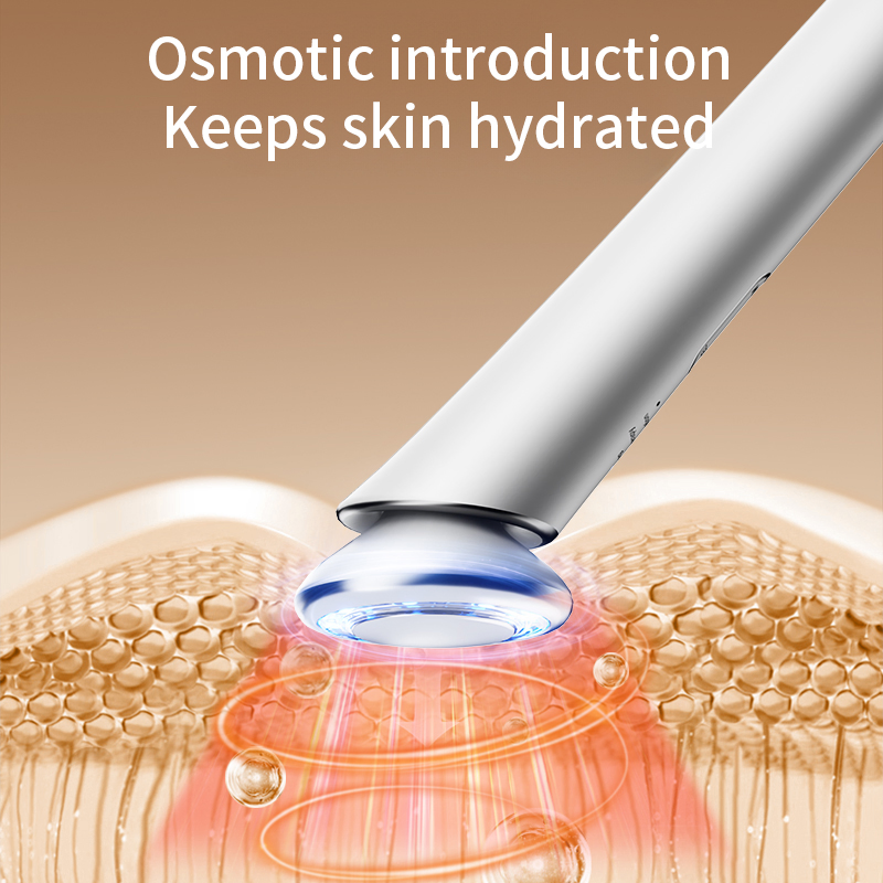 Multifunction EMS Microcurrent Facial Massage Red Light Therapy Beauty Device