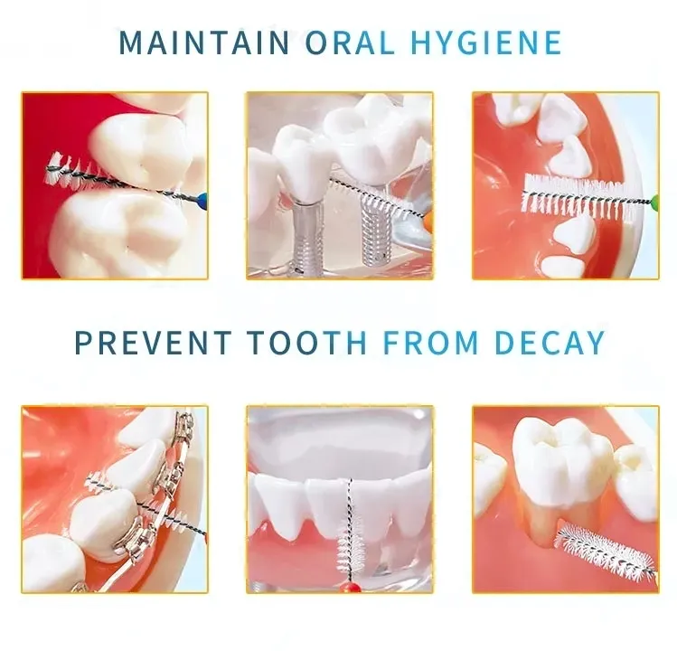 Interdental Brush Detail 4