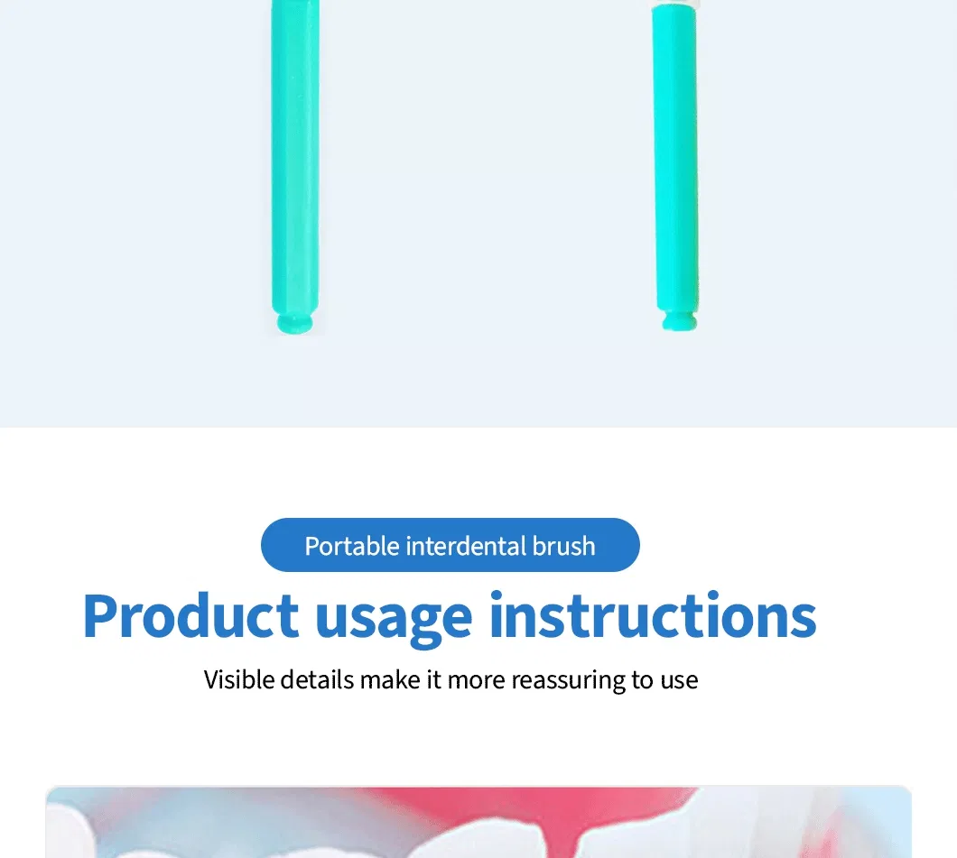Interdental Brush 10