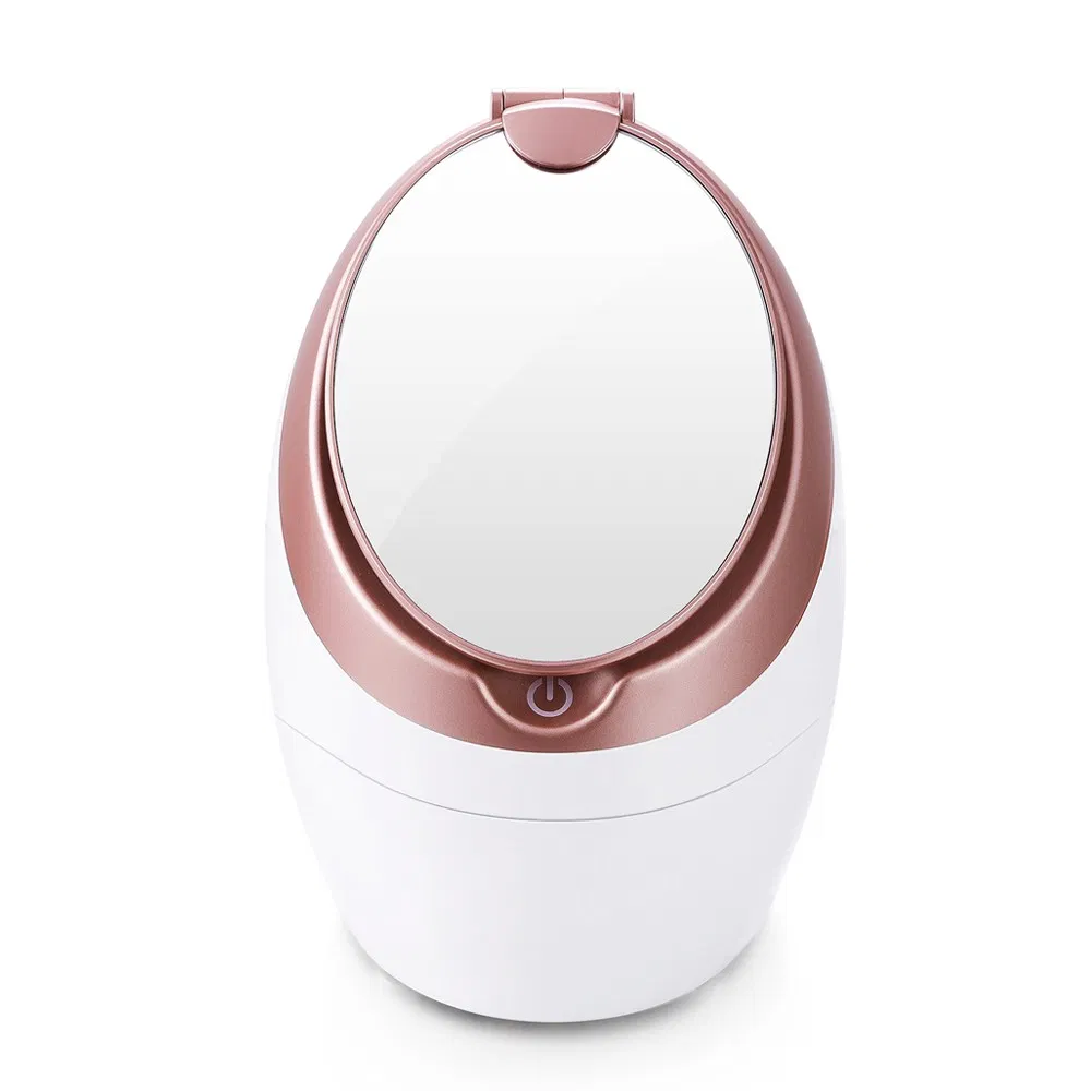 Good Price Professional Electric Portable Warm Mist Face Steaming Ionic Nano Facial Steamer with Mirror