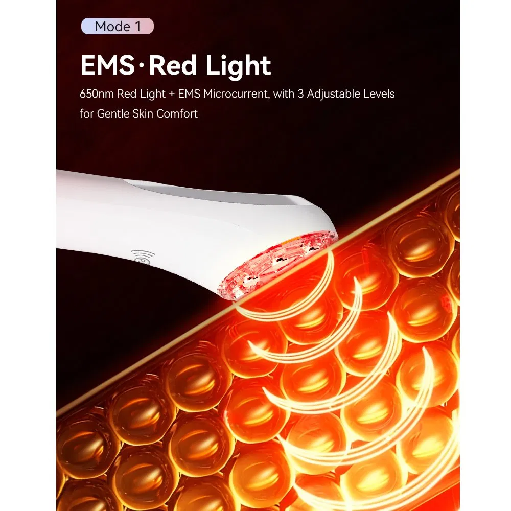 Multifunction RF EMS Microcurrent Facial Massage Red Light Therapy Beauty Device