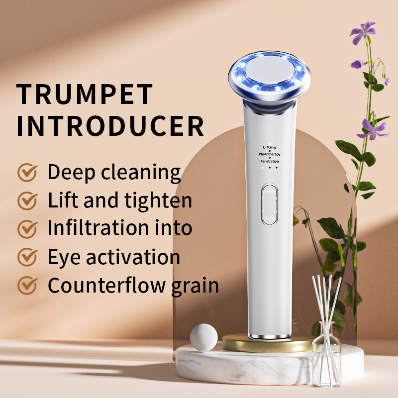 Multifunction EMS Microcurrent Facial Massage Red Light Therapy Beauty Device