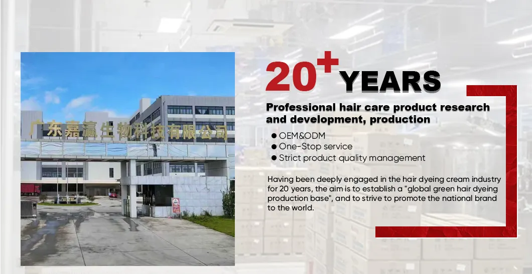 Professional Hair Coloring Tools