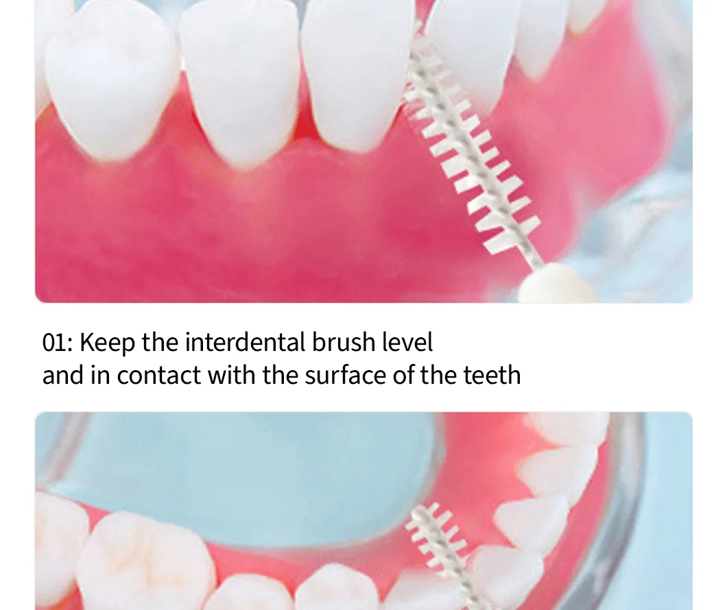 Interdental Brush 11