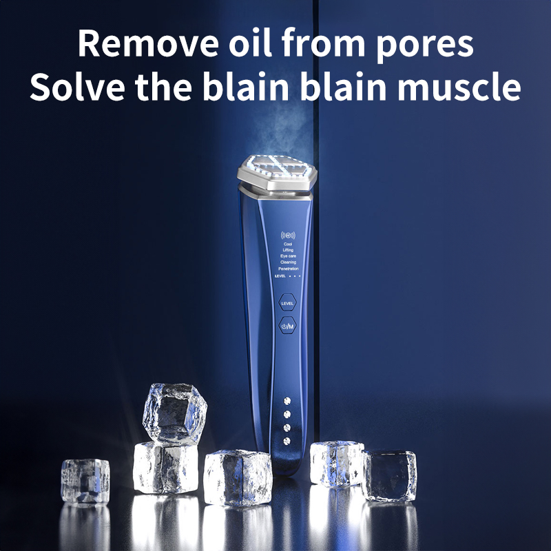 Multifunction RF EMS Microcurrent LED Red Light Therapy Beauty Device