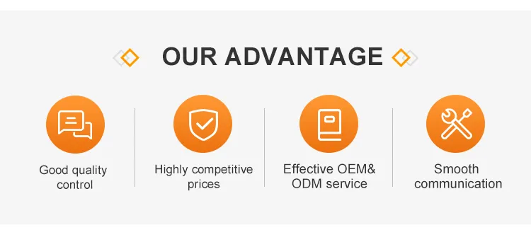 Manufacturing Expertise