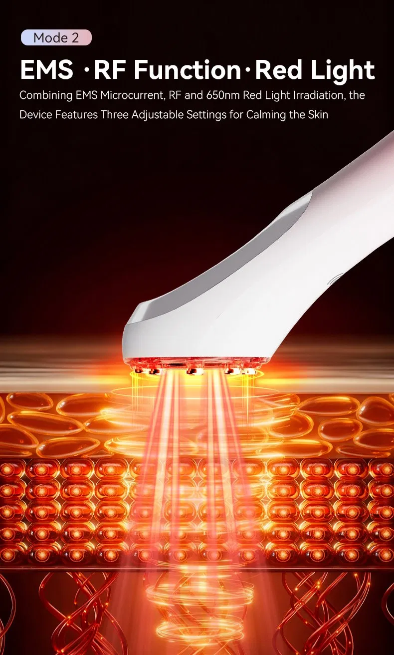 Skin Rejuvenation Device View 4