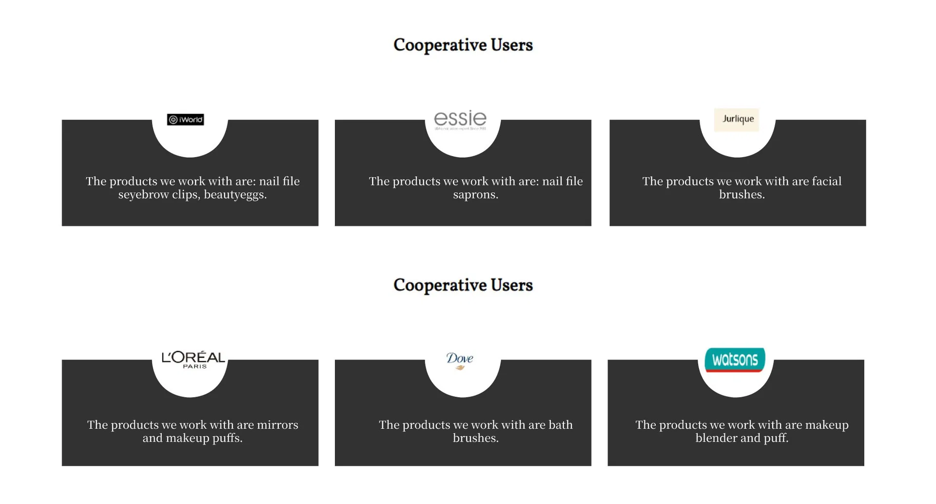Makeup Brush Detail 13