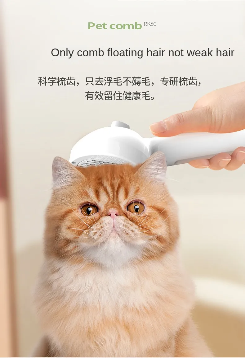 Pet Grooming Details