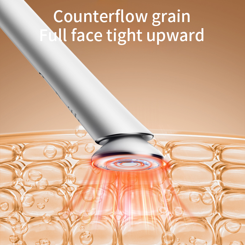 Multifunction EMS Microcurrent Facial Massage Red Light Therapy Beauty Device