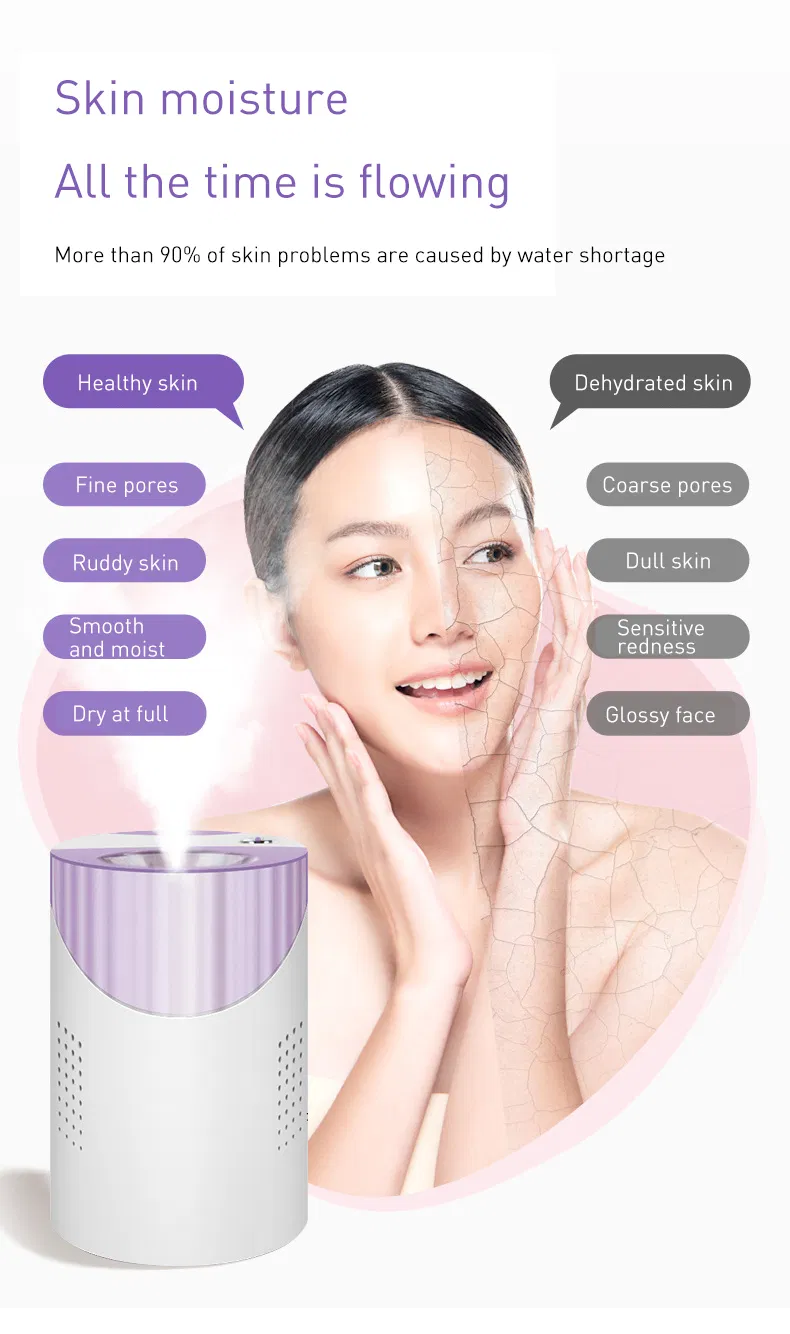 Facial Humidifier Sprayer Steamer